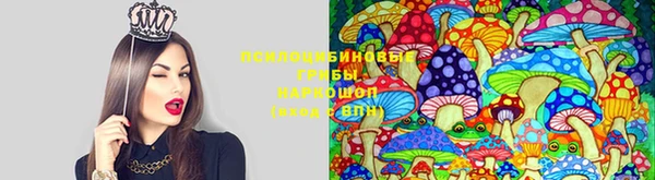 Альфа ПВП Белоозёрский