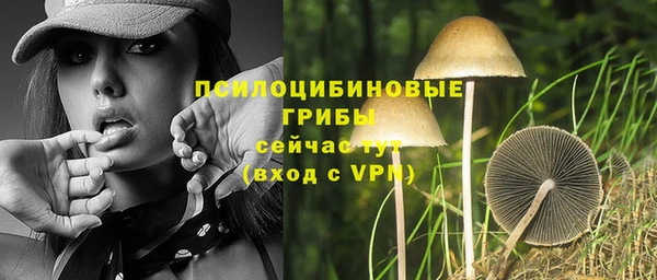 соль ск Белокуриха