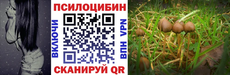 Галлюциногенные грибы Cubensis  купить закладку  Вуктыл 